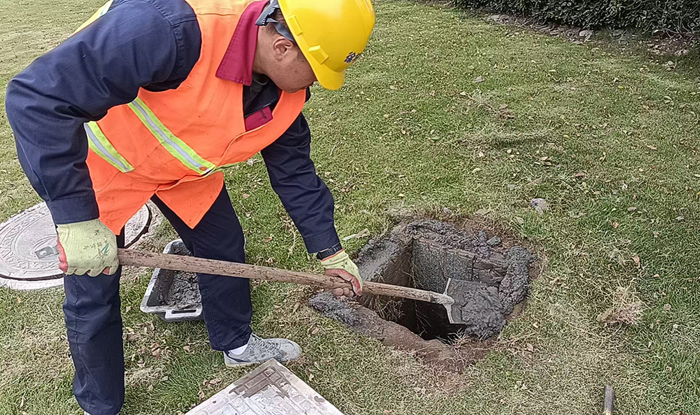 7c52e209067b20d44ea5c2507c048893